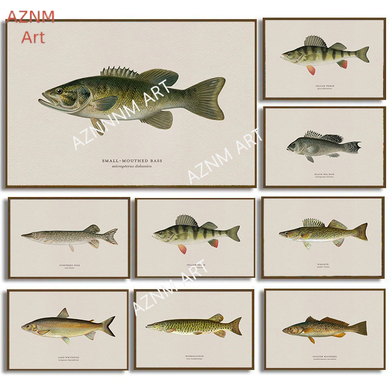 Vintage Bass Fish Trout Fly Fi - огляд і ціна Vintage Fashion Wall Art