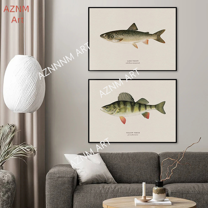 Vintage Bass Fish Trout Fly Fi - огляд і ціна Vintage Fashion Wall Art