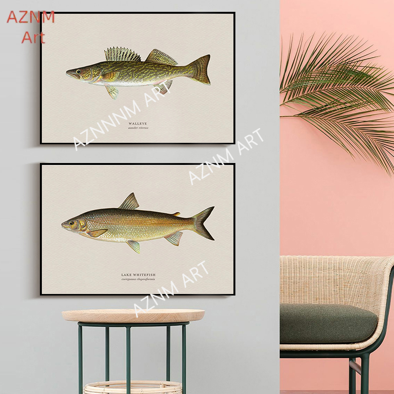 Vintage Bass Fish Trout Fly Fi - огляд і ціна Vintage Fashion Wall Art